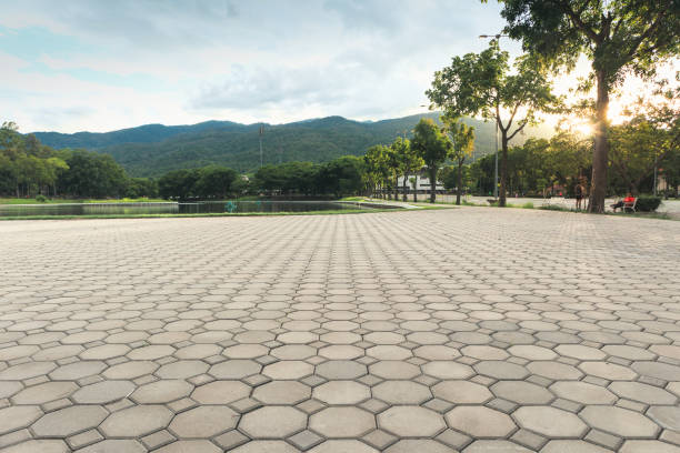 Best Residential Paver Driveway  in Malone, FL